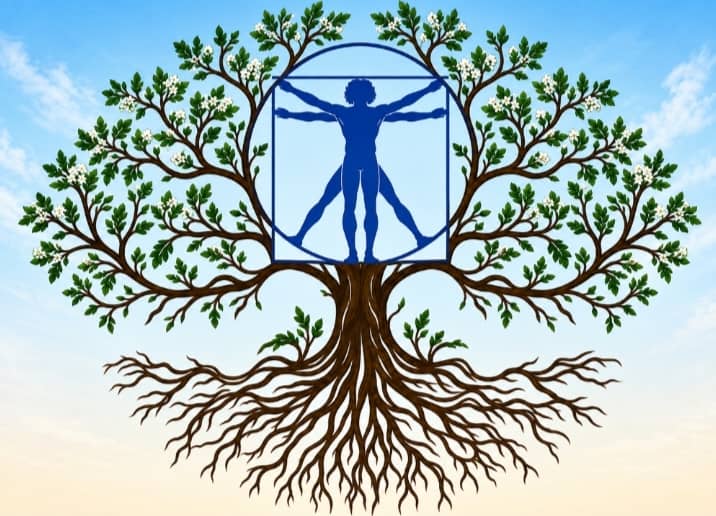 VibeTree logo — a tree with white flowers and a figure in the canopy